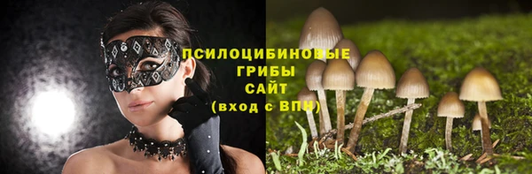 трава Новодвинск